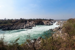 DCIM100MEDIADJI_0102.JPG