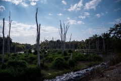 P1011146