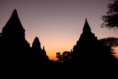 P1000990