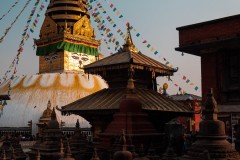 P1000697