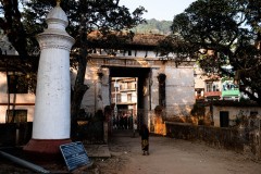 P1000745
