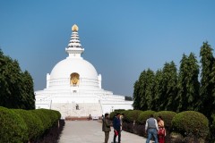 P1000762