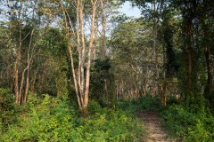 P1000801