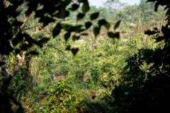 P1000805
